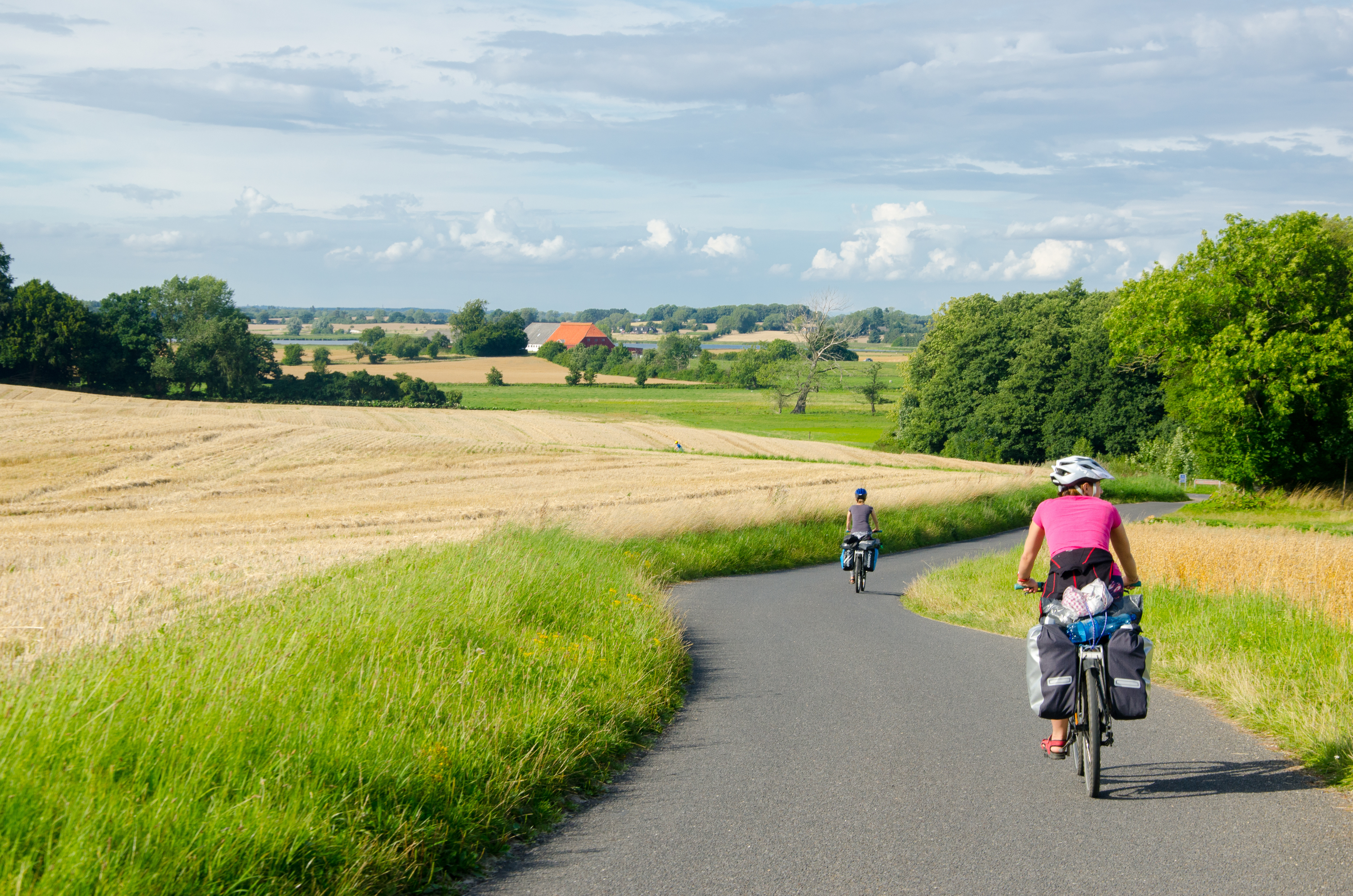 Cyklister på en dansk landevej i solskinsvejr.
